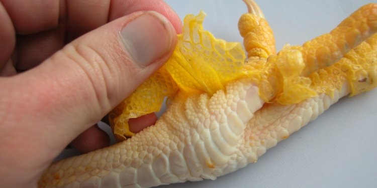 Peeling chicken feet