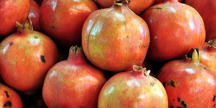 India - Karnataka - Mysore - Devaraja Market - Pomegranate