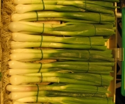 Chinese Food Ingredients: Green Onions
