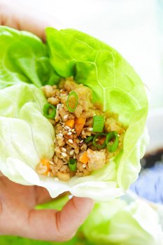 Lettuce wraps – healthy, refreshing and delicious chicken lettuce wraps recipe that is better and cheaper than PF Chang’s or takeouts | rasamalaysia.com