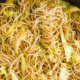 Best Chinese Chow Mein recipe